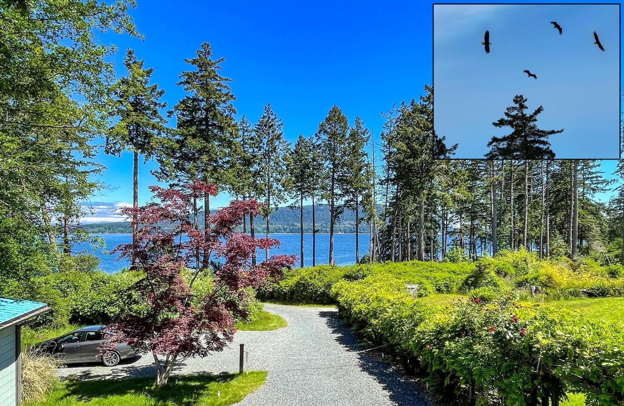 Manna House Apartment Denman Island Exterior photo